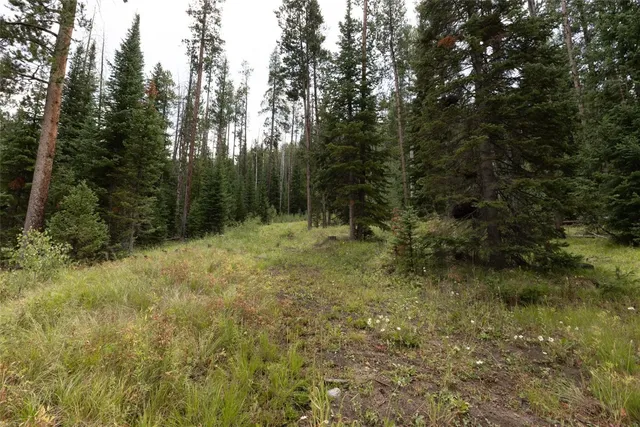 a view of outdoor space and green space