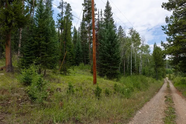 a view of a lush green hillside and a houses