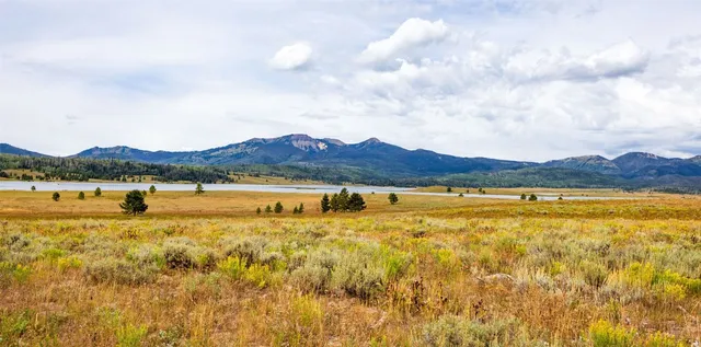 a front view of a building with car parked