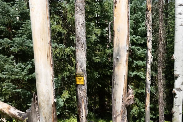 an outdoor view of a house with trees