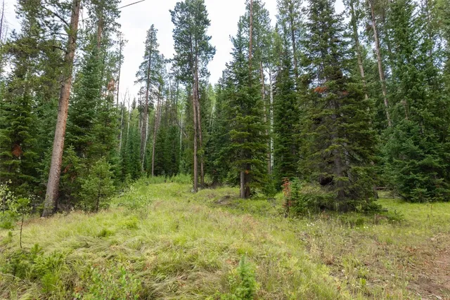 a view of outdoor space and green space