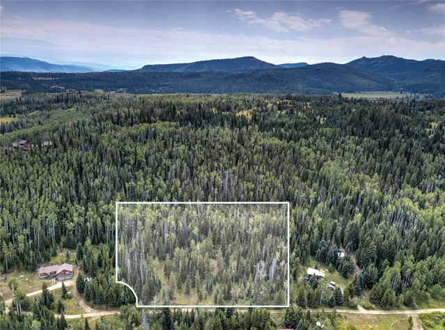 a view of a lush green field