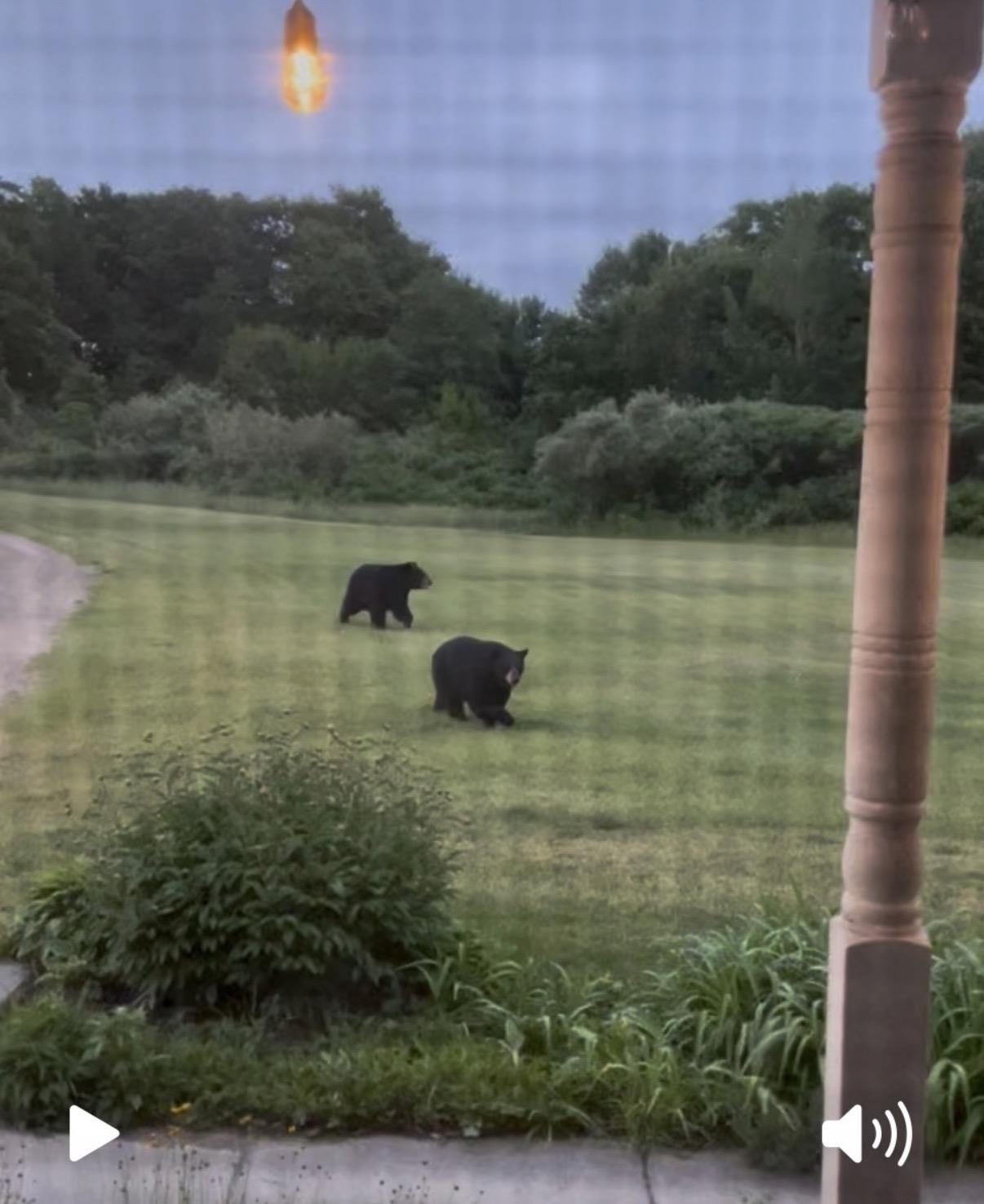 3186 Lake George Road West Branch, MI 48661 - Photo 61 of 67 Gallery Image 61