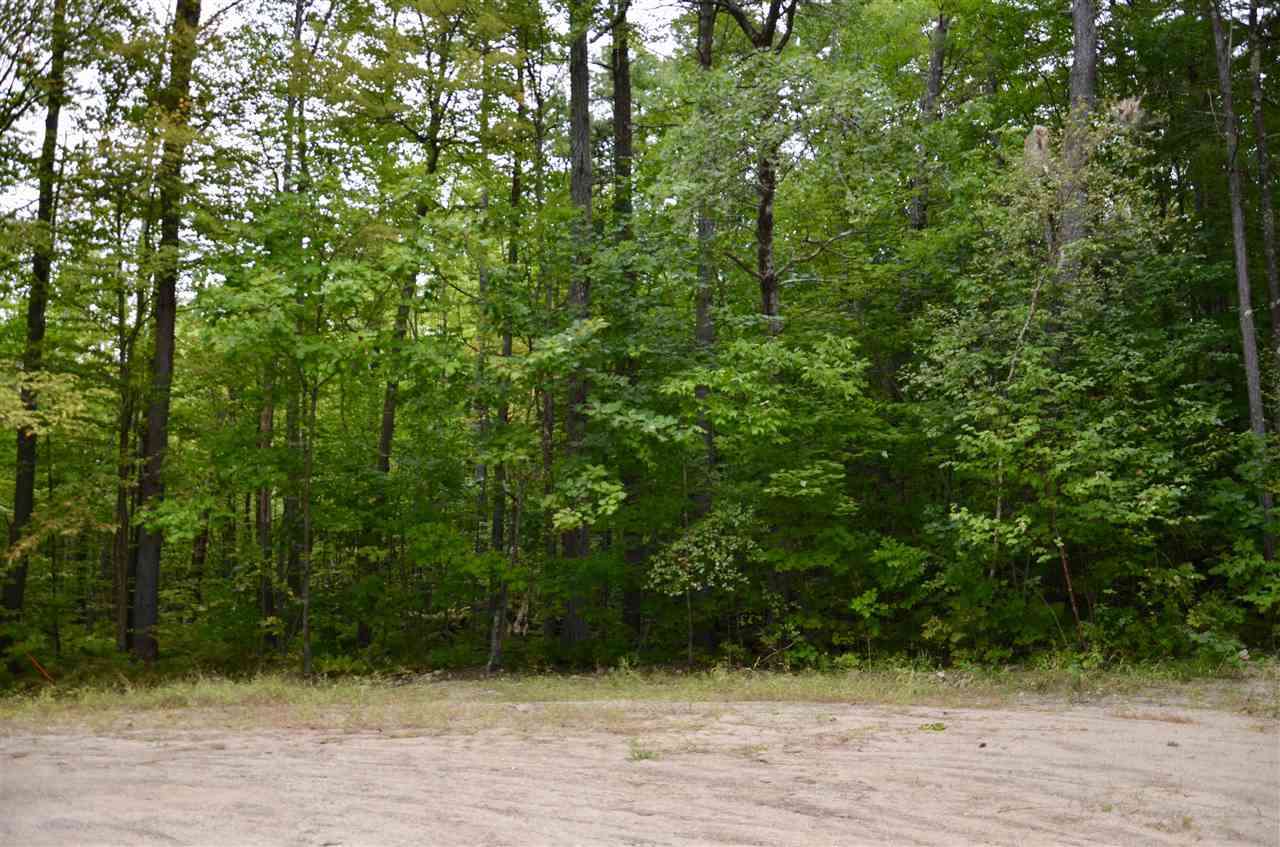 37 Robin Way Meredith, NH 03253 - Photo 2 of 7