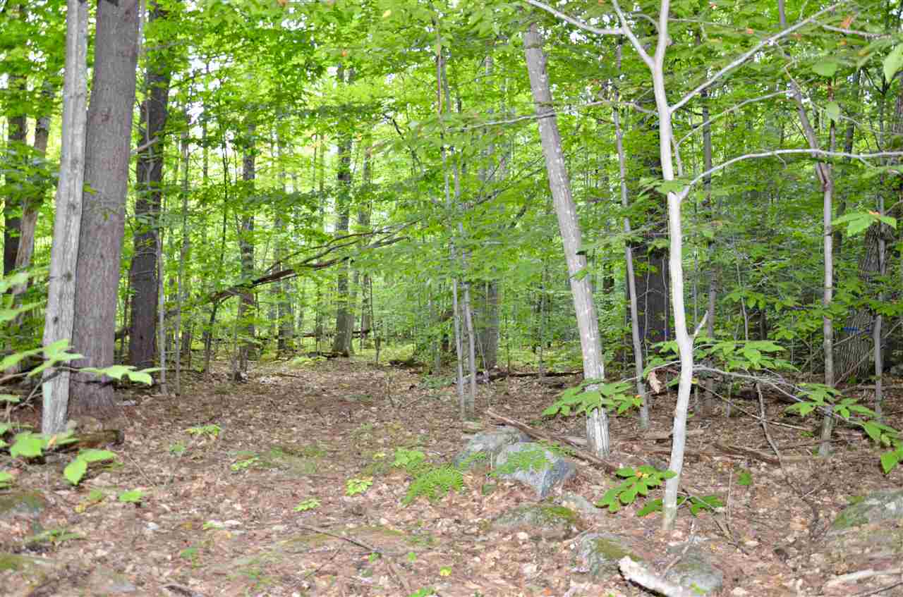 37 Robin Way Meredith, NH 03253 - Photo 3 of 7