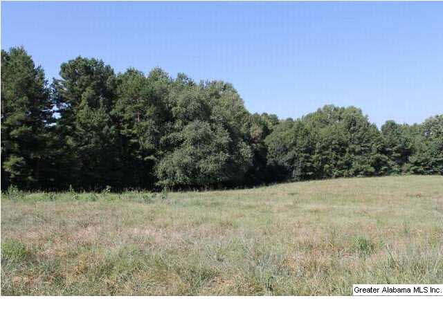 619 County Road, Unit 59 5AC Woodland, AL 36280 - Photo 11 of 13