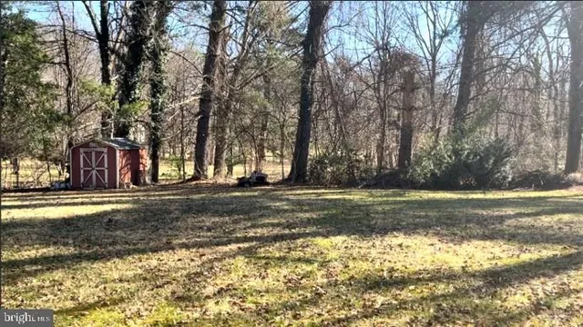 a view of a yard with a tree