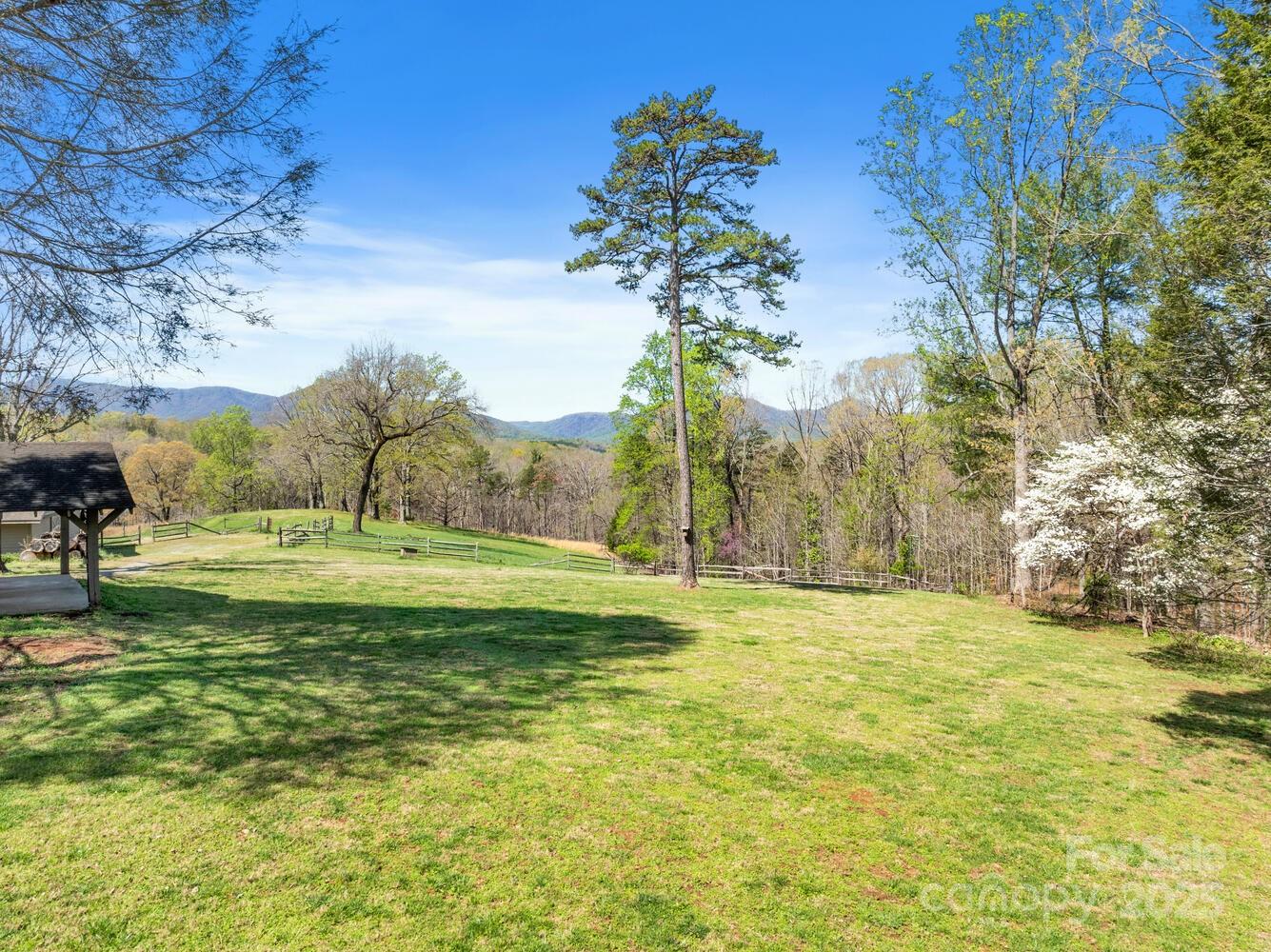 123 Fox Covert Lane Tryon, NC 28782 - Photo 42 of 48