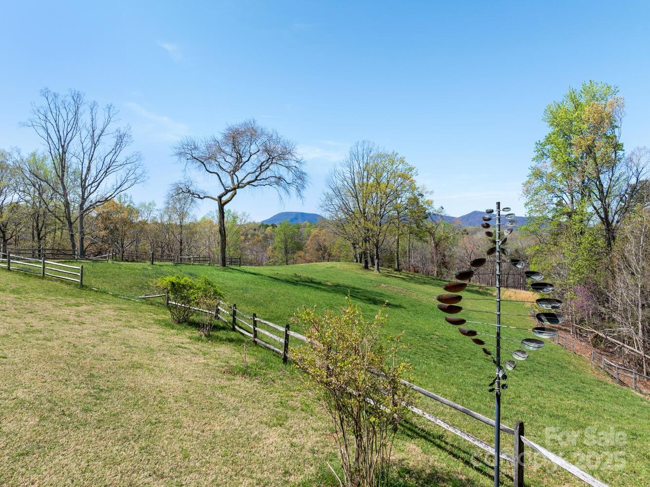 123 Fox Covert Lane Tryon, NC 28782 - Photo 43 of 48