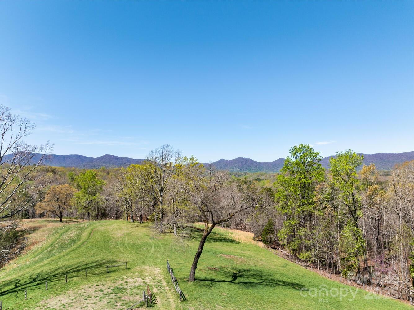 123 Fox Covert Lane Tryon, NC 28782 - Photo 45 of 48