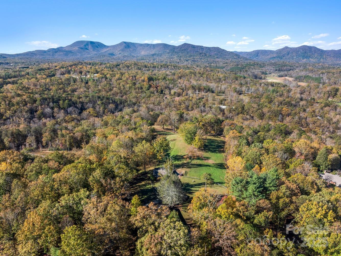 123 Fox Covert Lane Tryon, NC 28782 - Photo 47 of 48