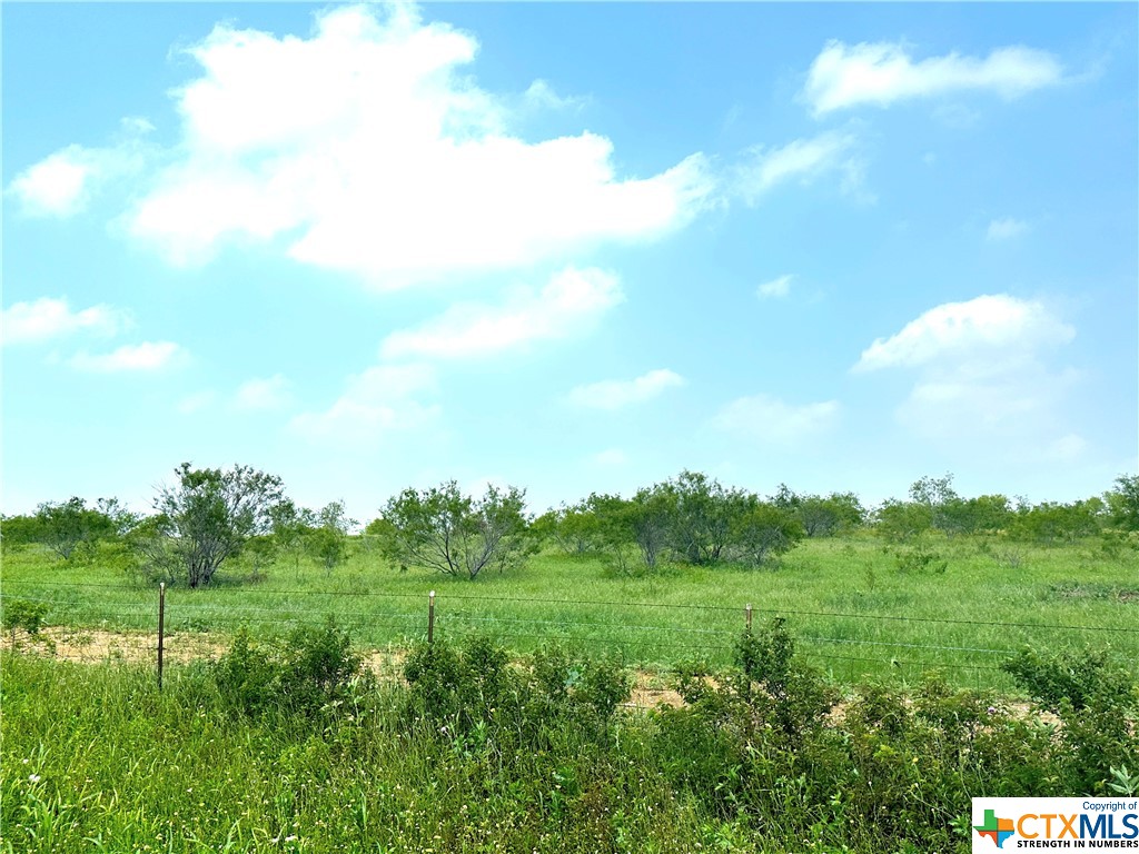 07 Tower Drive Moody, TX 76557 - Photo 11 of 23 a view of a green field with lots of bushes