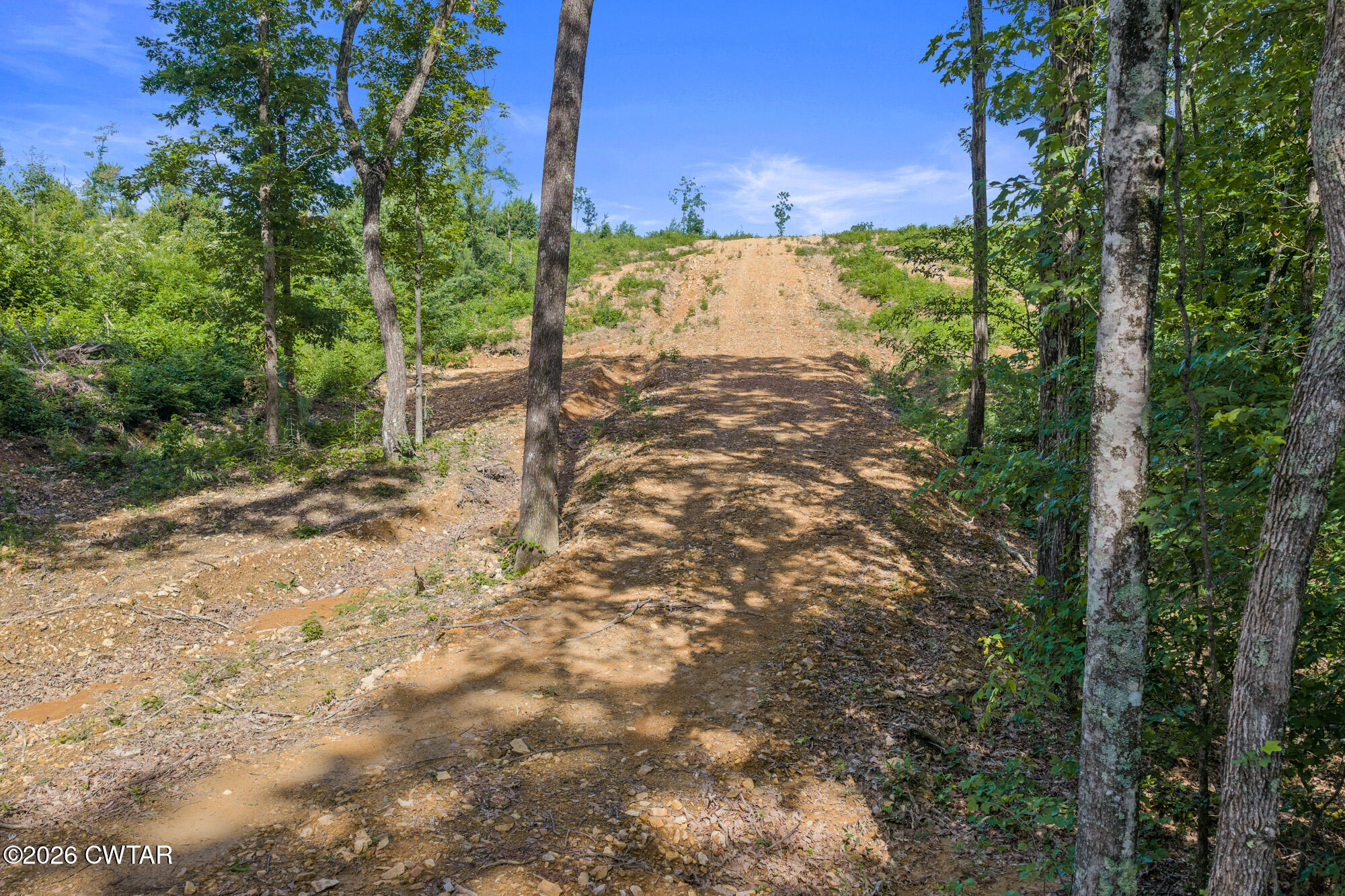 0 Coxburg Road Holladay, TN 38341 - Photo 18 of 18 DJI_20260613093223_0056_D