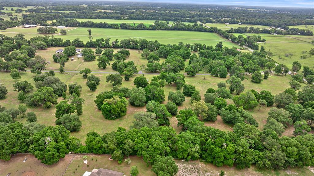 329 West Reddick Reddick, FL 32686 - Photo 6 of 10