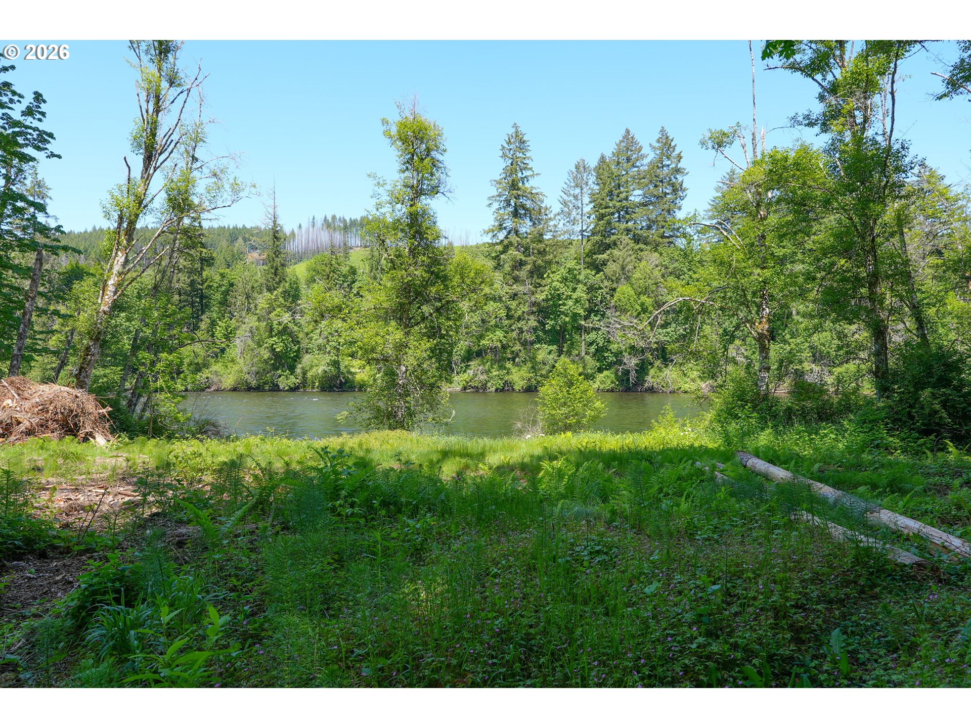 Goodpasture Road, Unit 1809 Vida, OR 97488 - Photo 2 of 24