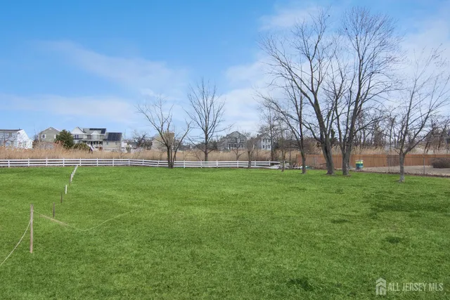a view of a park with large trees