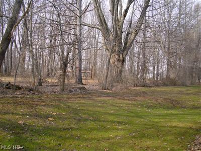 2330 River Road Willoughby, OH 44094 - Photo 5 of 23 Gallery Image 5