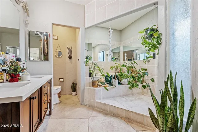 a view of a park with large trees