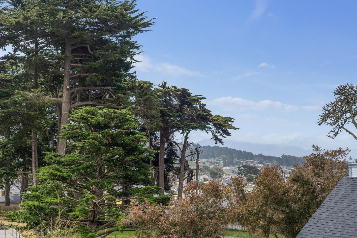 360 Winwood Avenue Pacifica, CA 94044 - Photo 26 of 26 a view of a forest