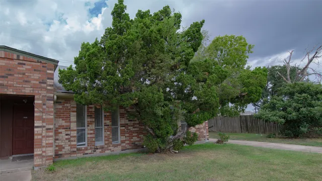 a view of a backyard with plants and large trees