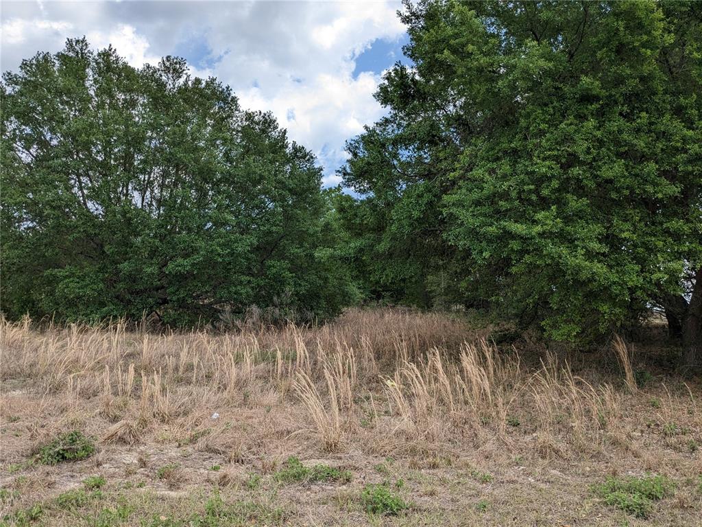 25 South Weirsdale, Weirsdale, FL 32195 Compass