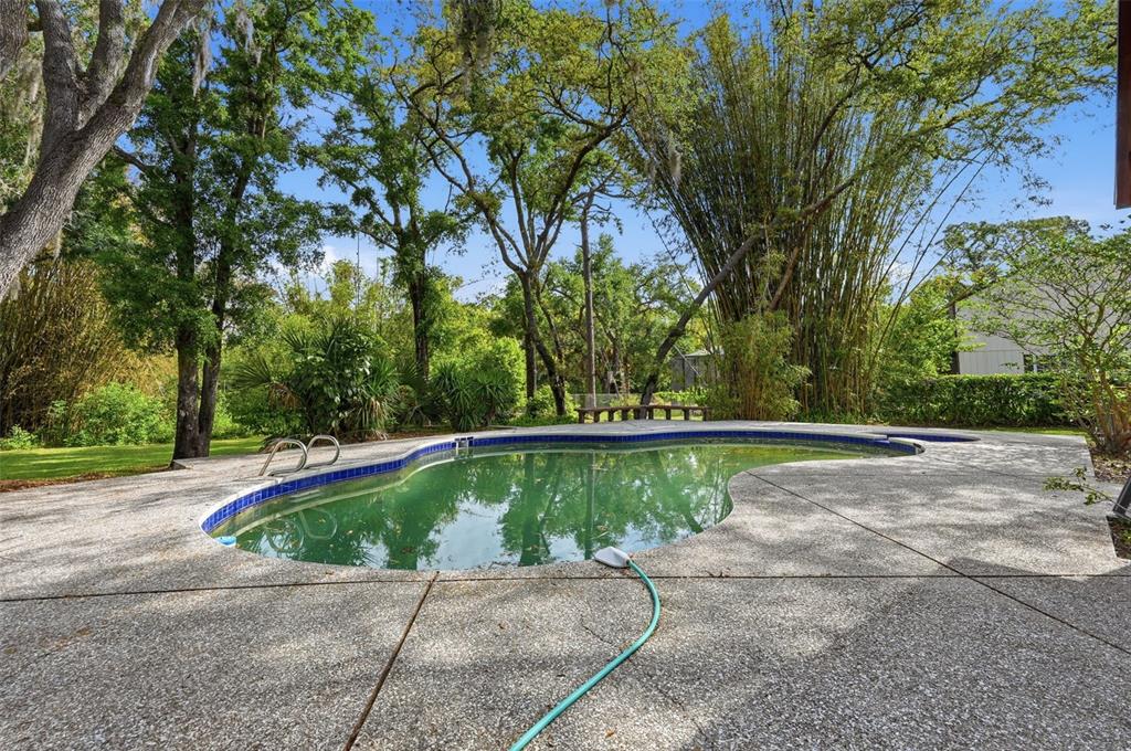 1840 Salem Court Dunedin, FL 34698 - Photo 59 of 64 a view of a swimming pool with a yard
