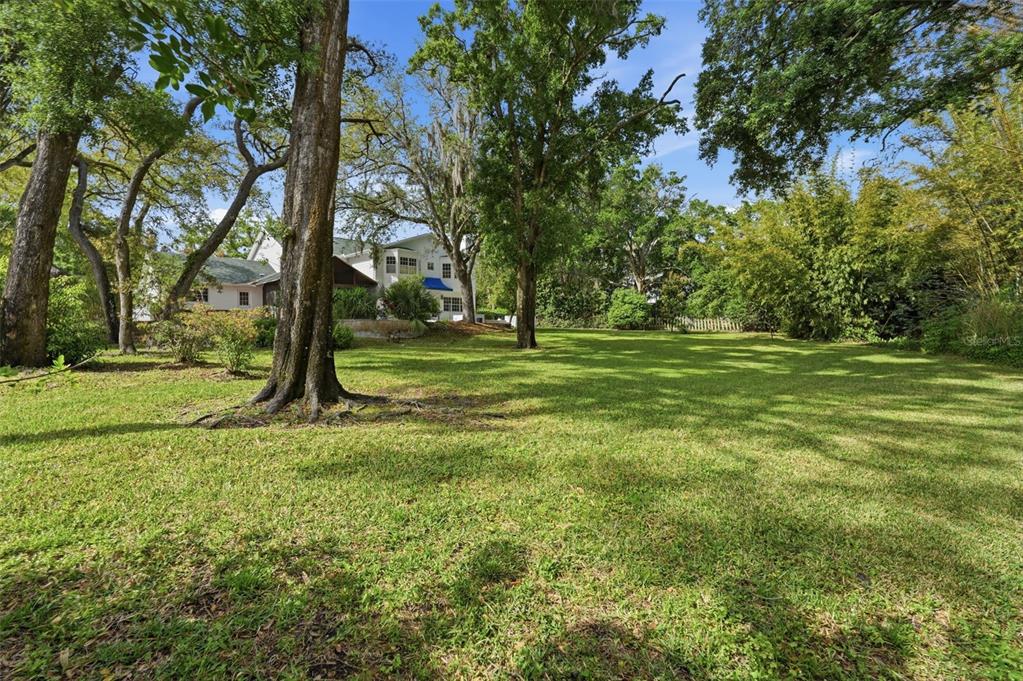1840 Salem Court Dunedin, FL 34698 - Photo 62 of 64 a view of a tree in a yard