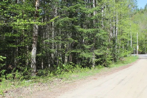 $55,000 | 0 State Route 30, Indian Lake, NY 12842