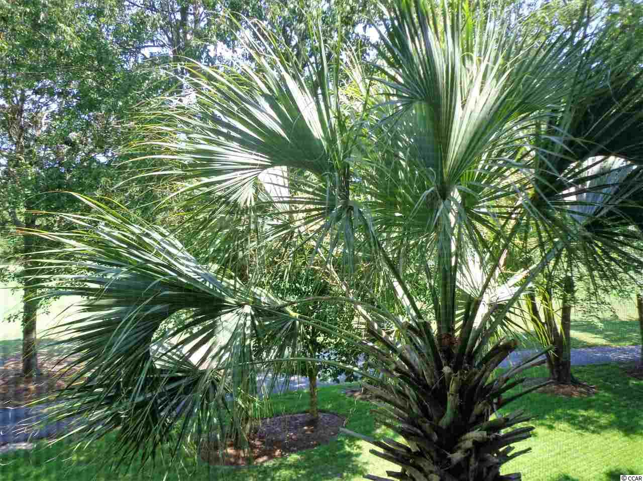 184 Clubhouse Road, Unit 3 Sunset Beach, NC 28468 - Photo 20 of 25 Gallery Image 20