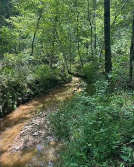Lot K3 Old Edgefield Road Ninety Six, SC 29666 - Photo 1 of 6 Screenshot 2025-08-19 091625
