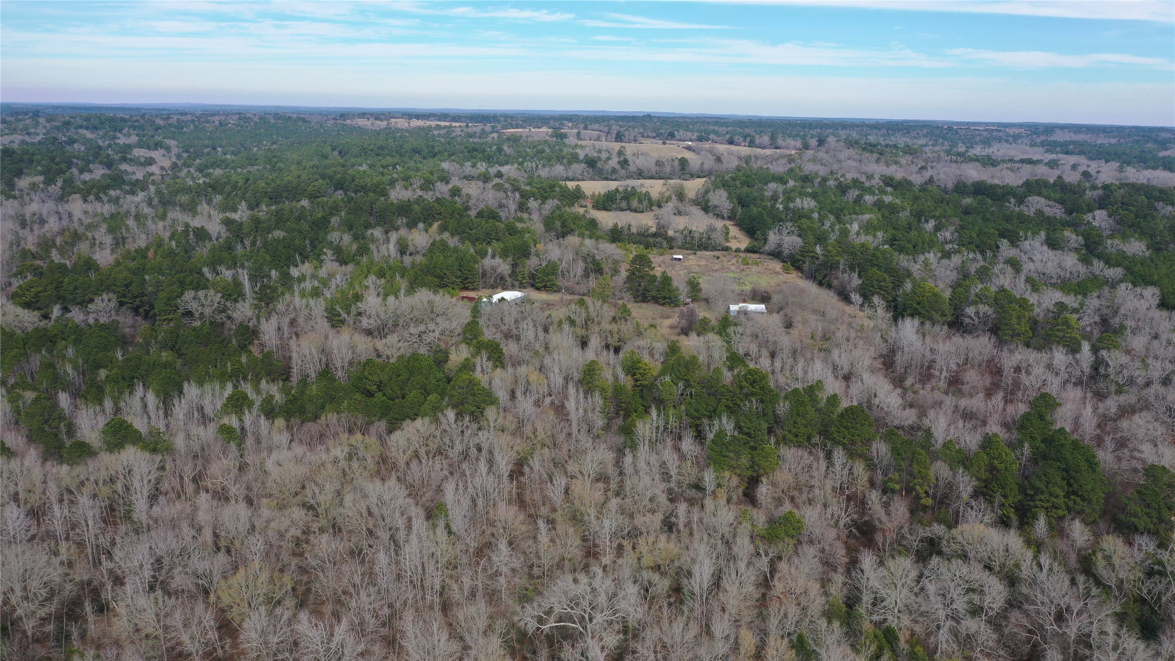 2 County Road 2240 Grapeland, TX 75844 - Photo 2 of 12