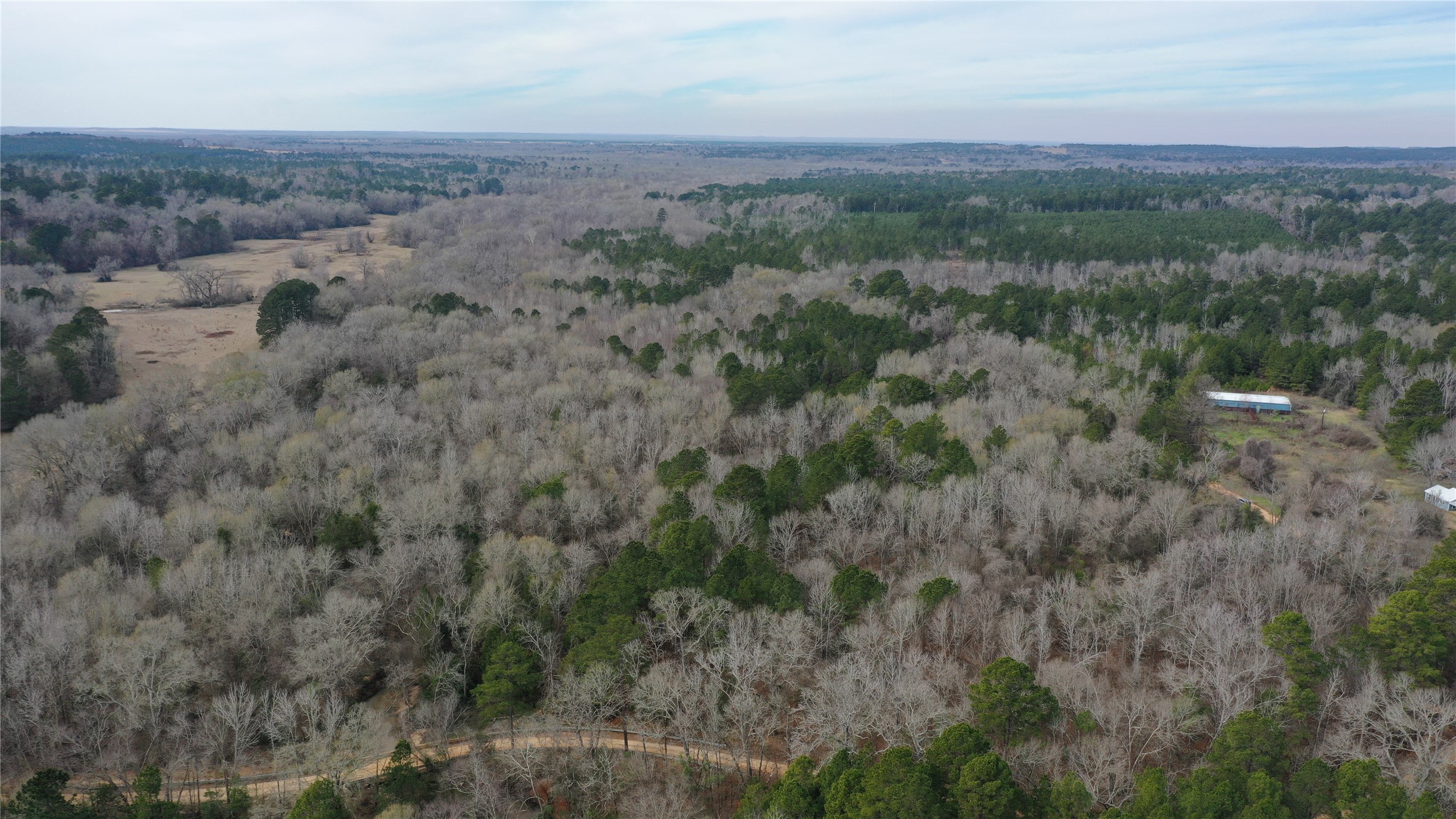 2 County Road 2240 Grapeland, TX 75844 - Photo 7 of 12