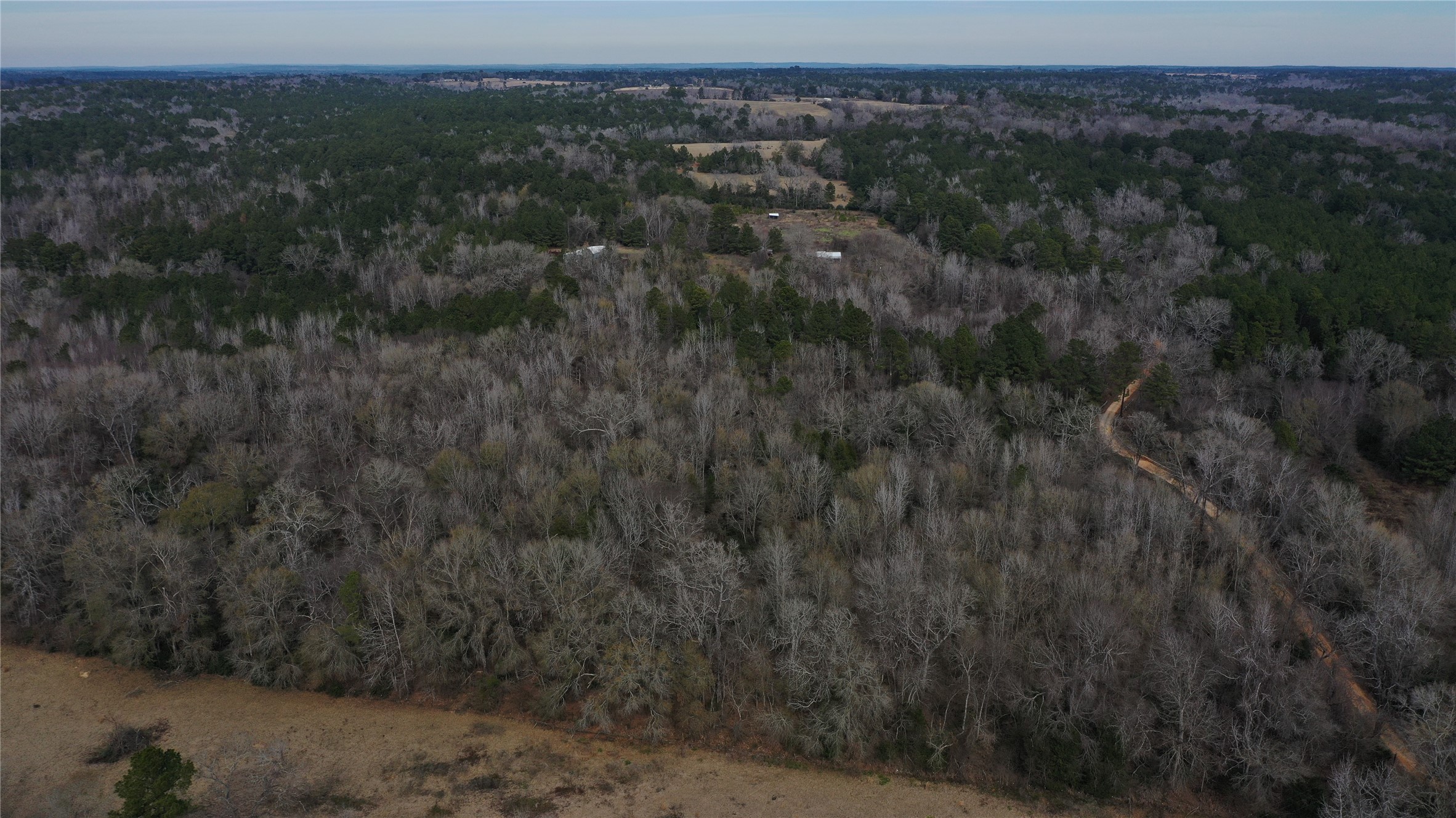 2 County Road 2240 Grapeland, TX 75844 - Photo 9 of 12
