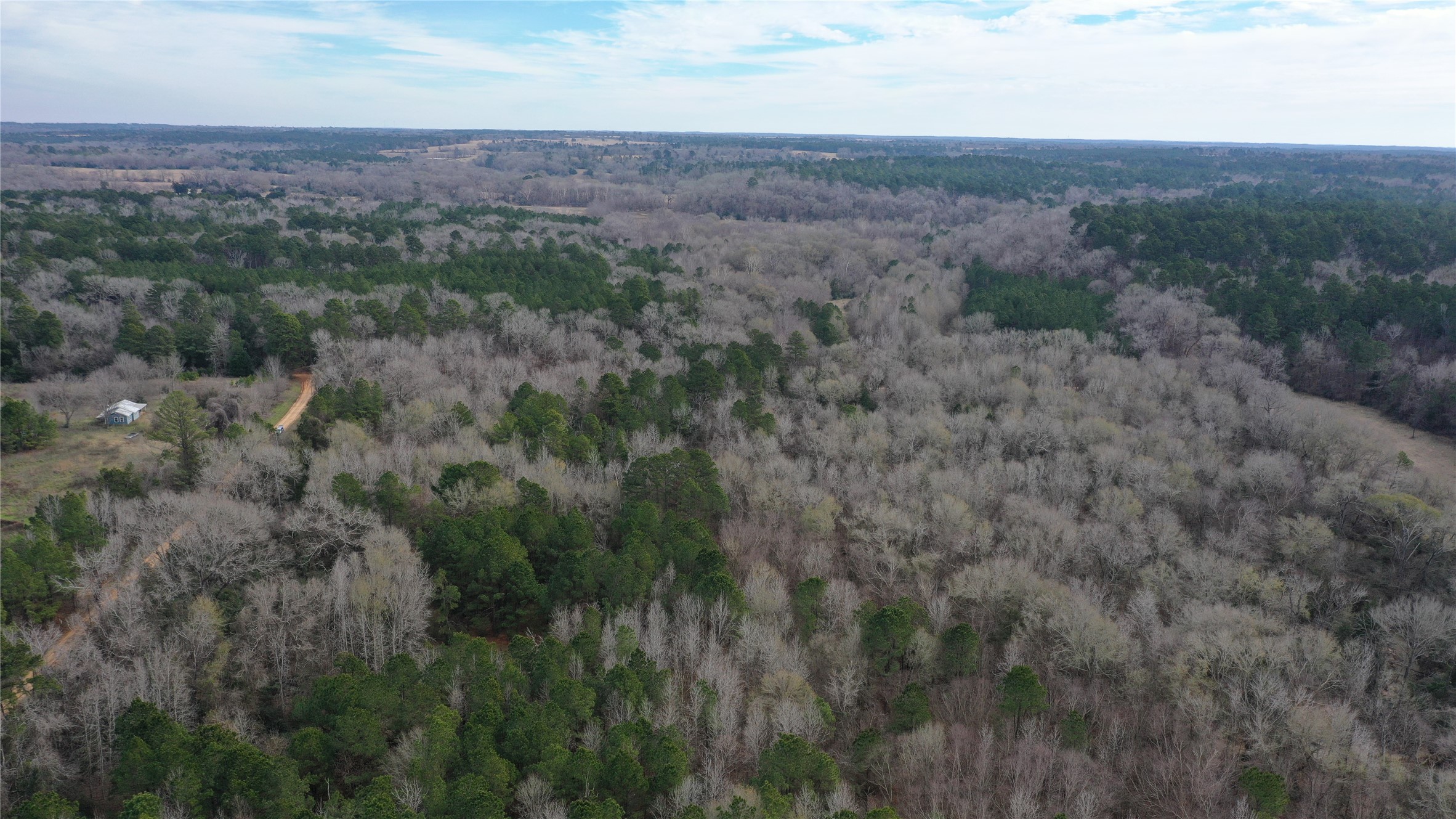 2 County Road 2240 Grapeland, TX 75844 - Photo 10 of 12
