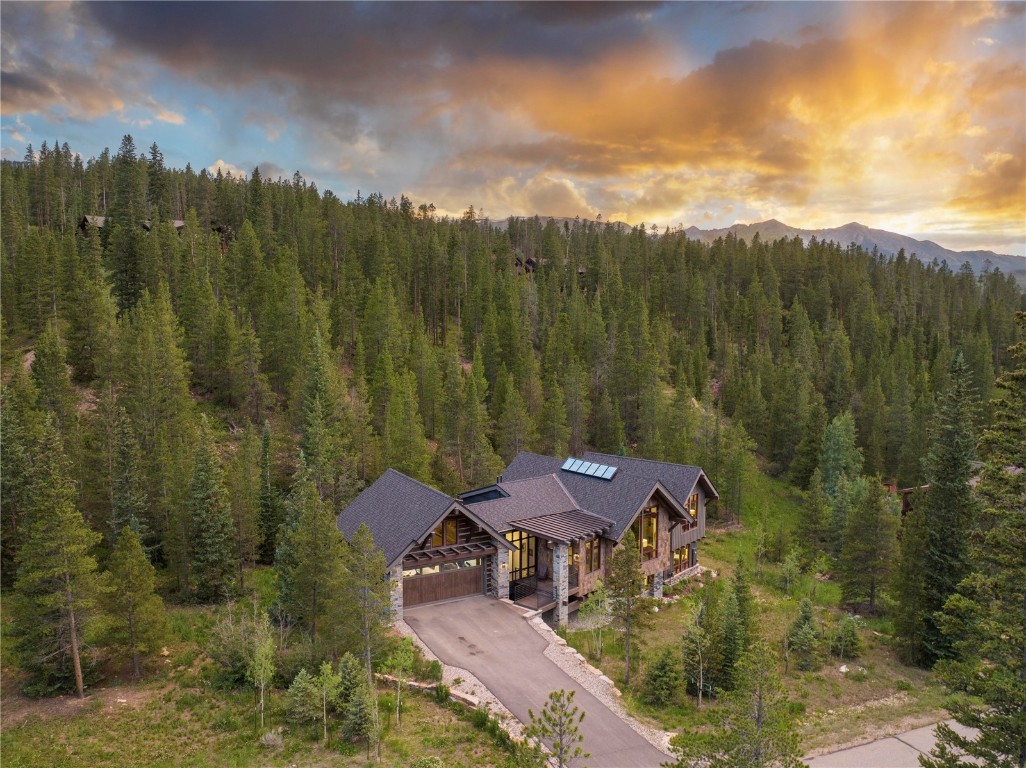 1238 Gold Run Road Breckenridge, CO 80424 - Photo 3 of 29 Gallery Image 3