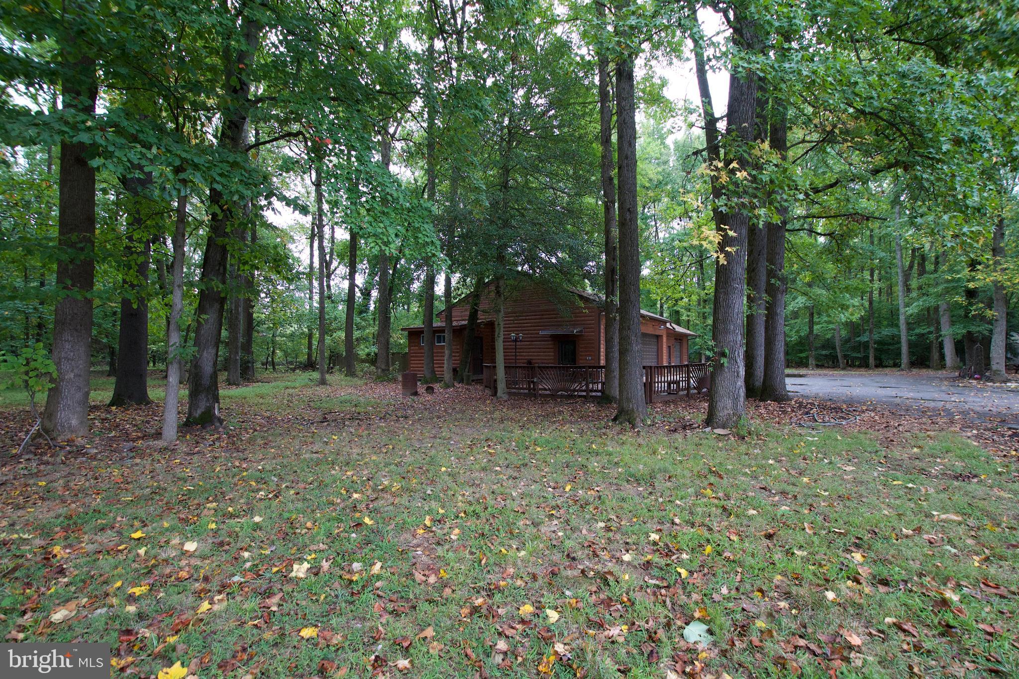 15301 Poplar Hill Road Accokeek, MD 20607 - Photo 83 of 88 treeline