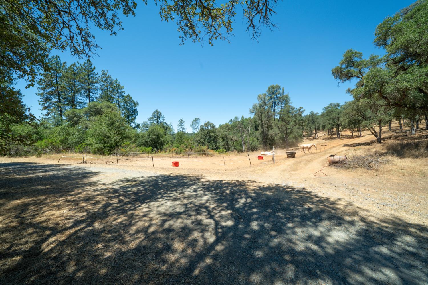 7071 Bayne Road Placerville, CA 95667 - Photo 50 of 61