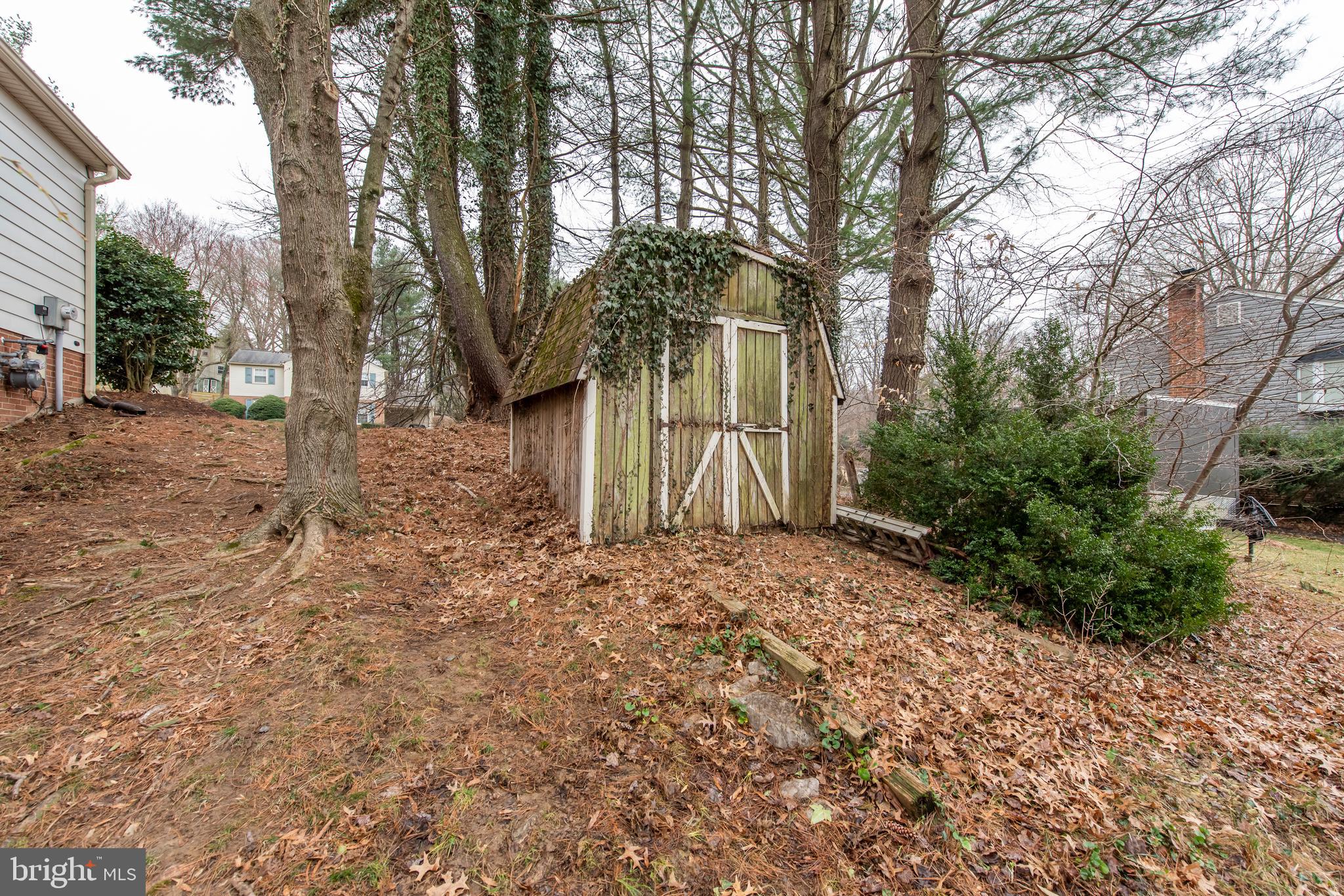 2229 Drury Road Silver Spring, MD 20906 - Photo 45 of 53 Back yard