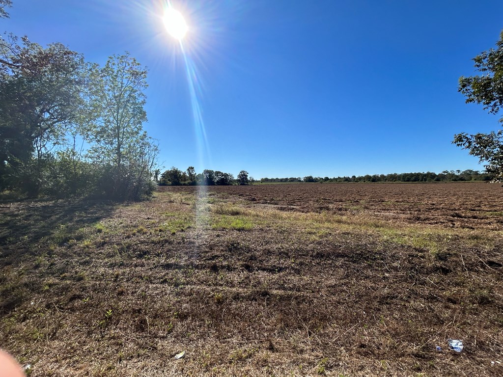 5.107-ac 5.107-ac Road Cottonwood, AL 36320 - Photo 9 of 19