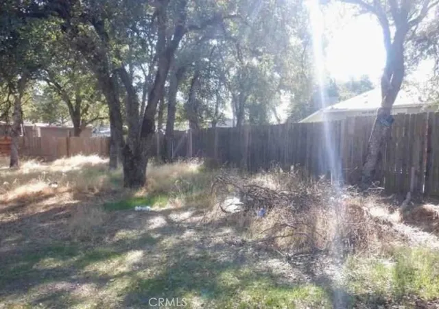 a view of backyard with tree