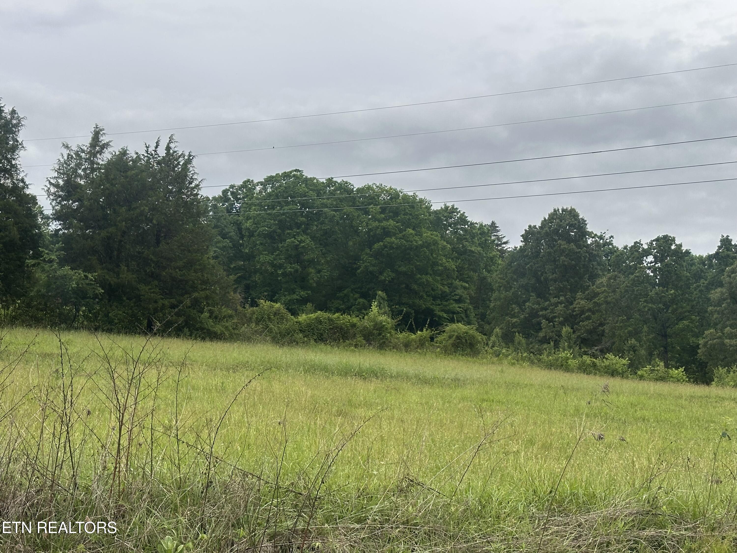 Blackwater Road Sneedville, TN 37869 - Photo 3 of 5 IMG_3345