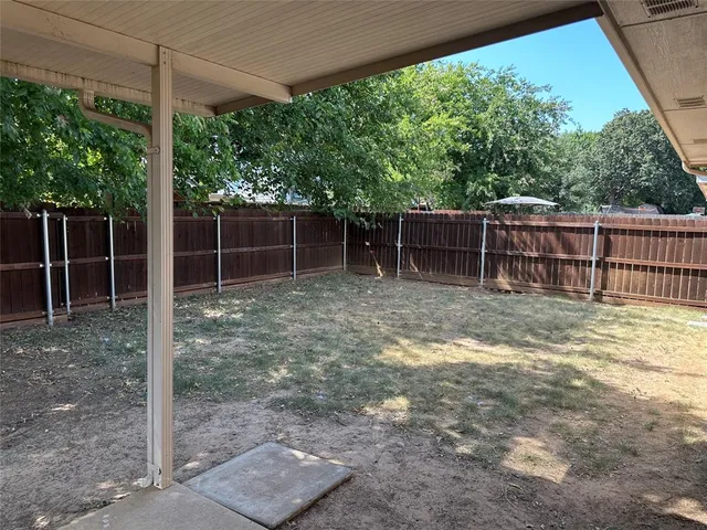 a backyard of a house with two plants and a large tree