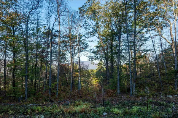 $120,000 | 263 High Ridge Road, Cavendish, VT 05153