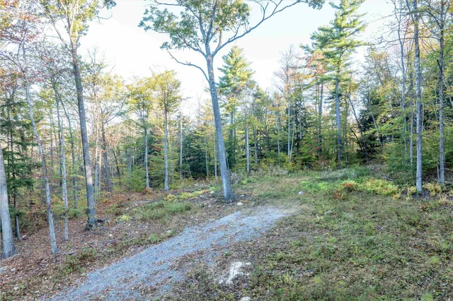 $120,000 | 263 High Ridge Road, Cavendish, VT 05153