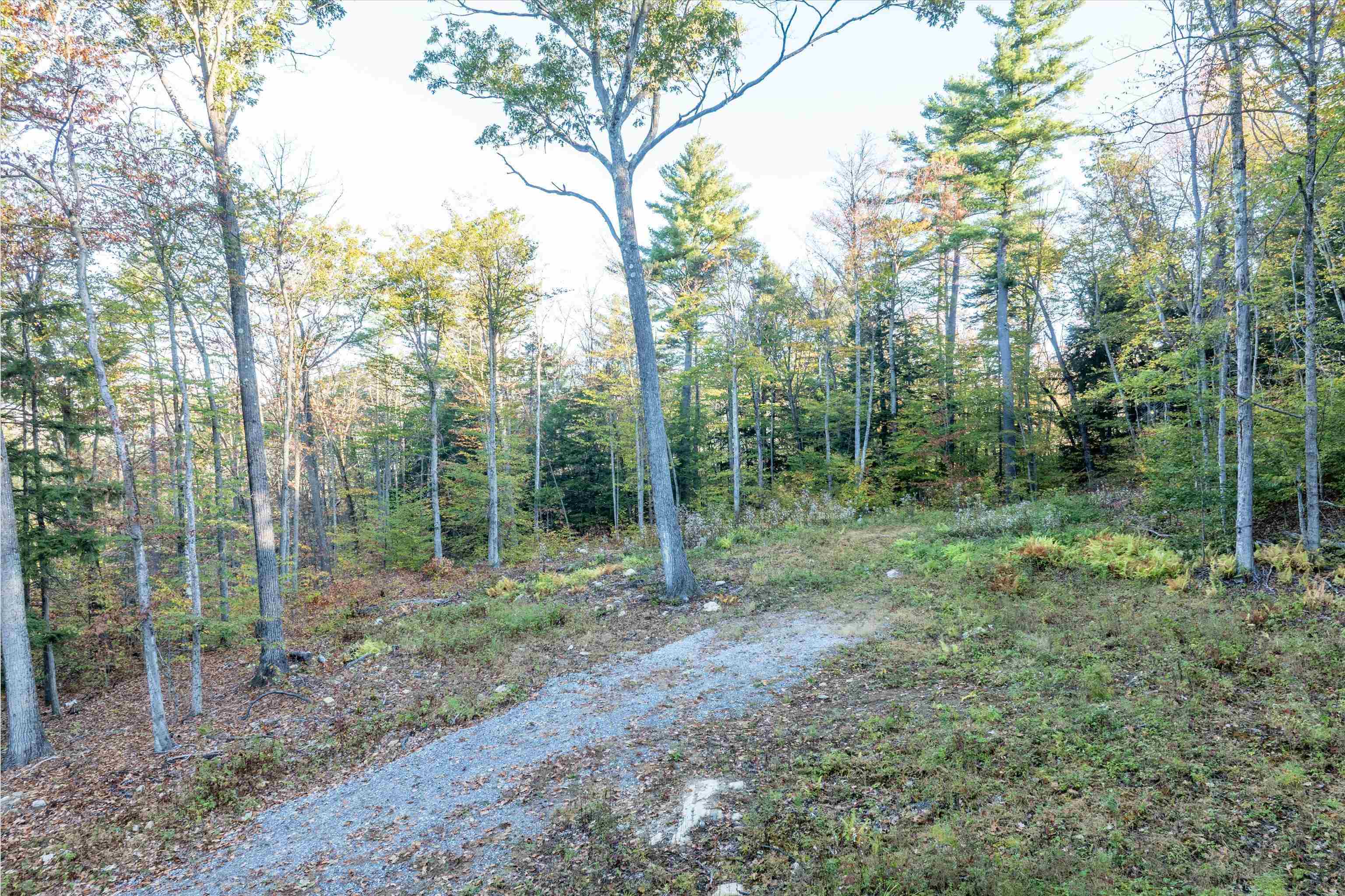 263 High Ridge Road Cavendish, VT 05153 - Photo 5 of 7