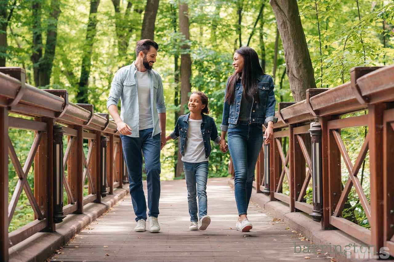 704 Hadstock Path Zebulon, NC 27597 - Photo 4 of 10