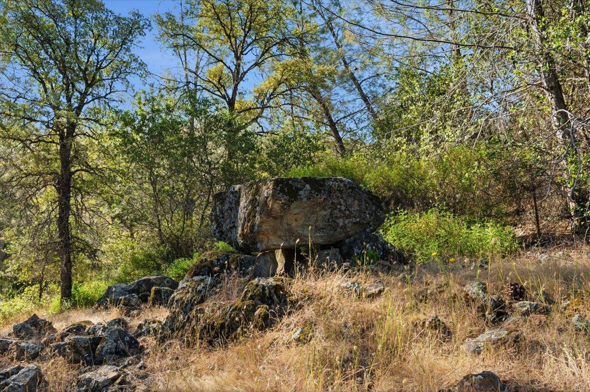 22233 McCourtney Road Grass Valley, CA 95949 - Photo 40 of 89