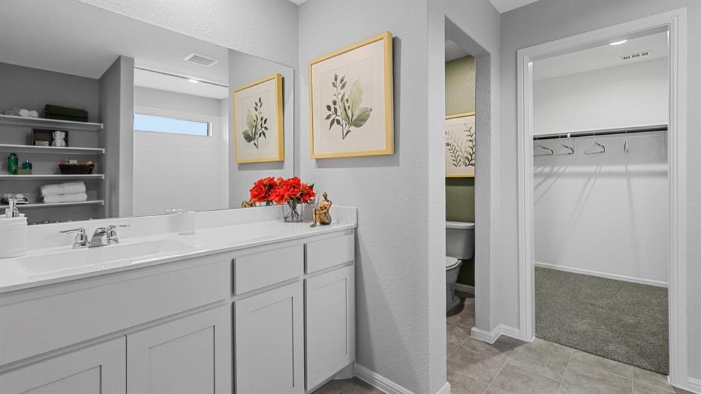 16421 Hudson Pr Way Justin, TX 76247 - Photo 18 of 39 a bathroom with a sink and a mirror