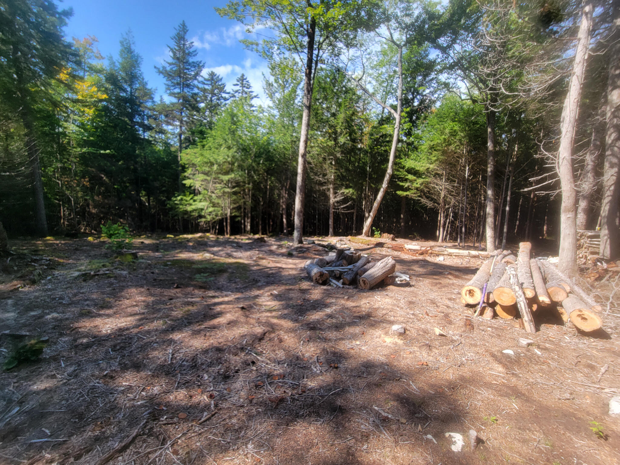 Tbd Tbd Chandler Road Enfield, ME 04493 - Photo 13 of 18 20220908_104855