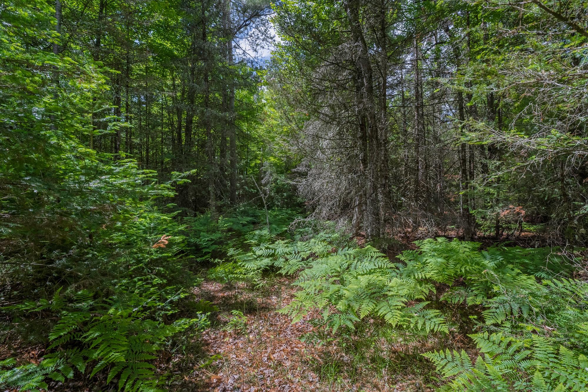 Off Watersmeet Lake Road, Unit 4 Eagle River, WI 54521 - Photo 13 of 28